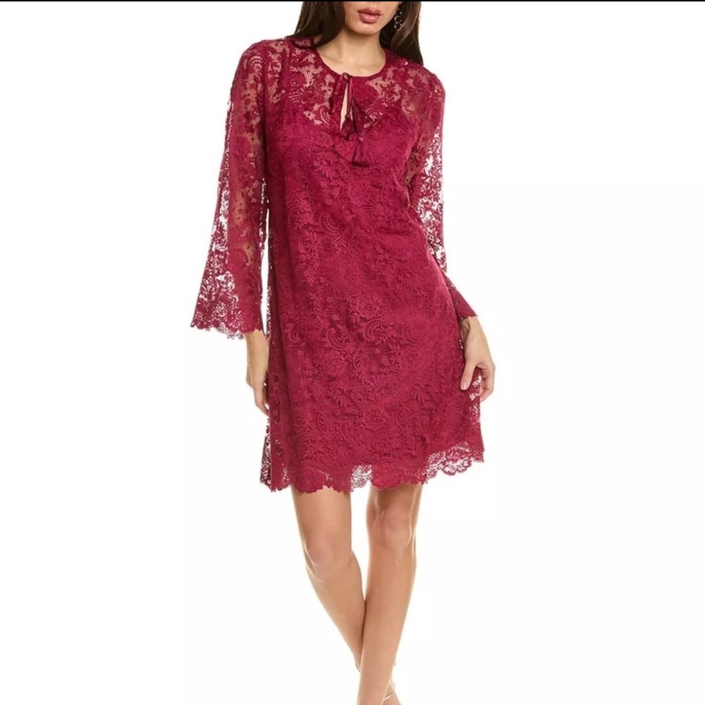 Johnny Was Burgundy Lace Mini Dress